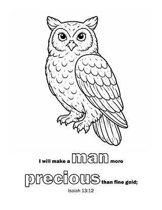 I will make