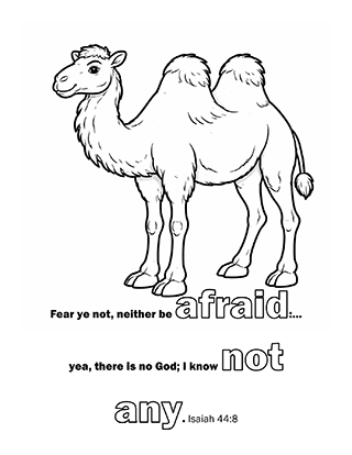 Fear ye not