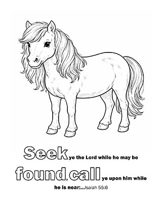 Seek ye the