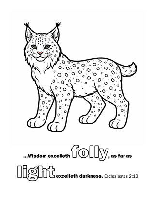 Wisdom excelleth folly