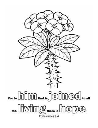 For to him