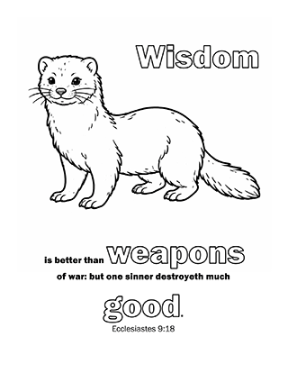 Wisdom is better