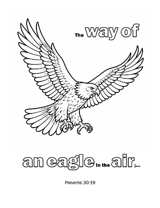 The way of