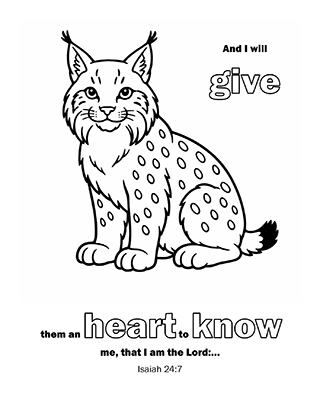 And I will give