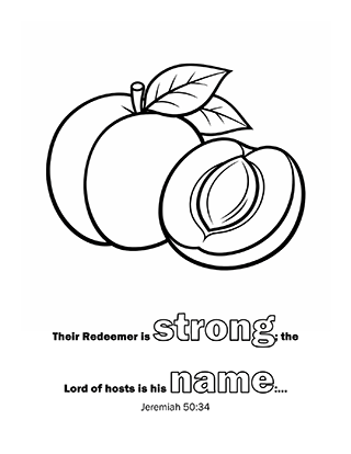 Their Redeemer