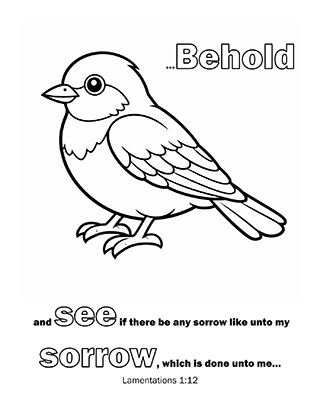 Behold and see