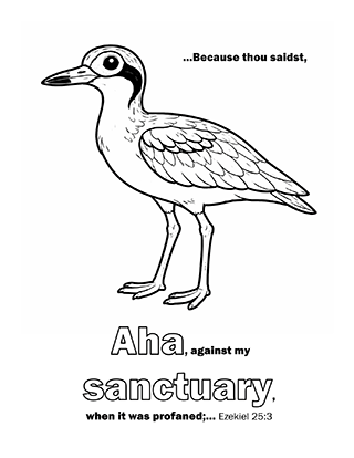 Because thou saidst