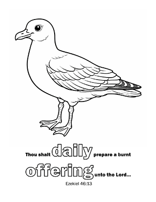 Thou shalt daily