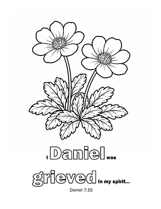 I Daniel was