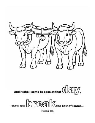 And it shall