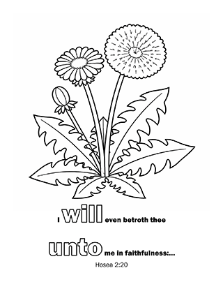 I will even