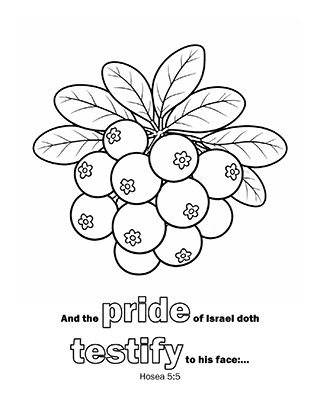 And the pride