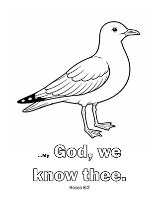 My God we