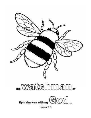 The watchman