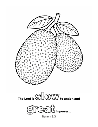 The Lord is