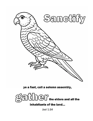 Sanctify ye