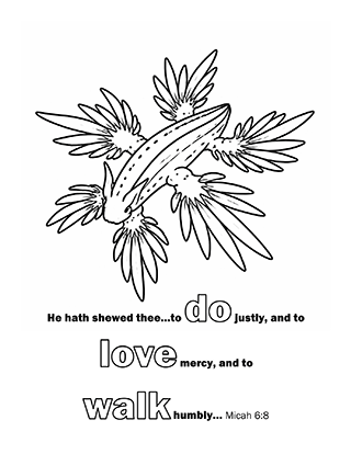 He hath showed