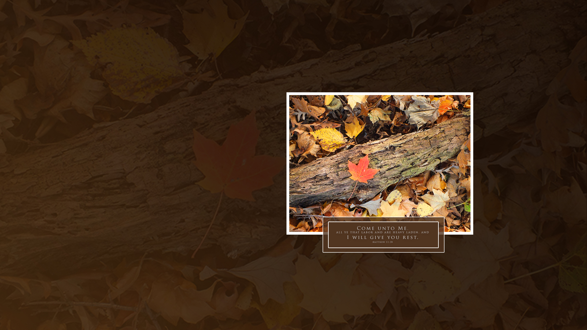 Fall Leaf Log–Matthew 11:28–Wallpaper